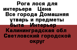 Рога лося для интерьера › Цена ­ 3 300 - Все города Домашняя утварь и предметы быта » Интерьер   . Калининградская обл.,Светловский городской округ 